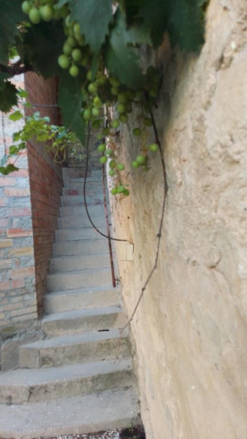 Alojamiento En Sant Marti Villa Rocafort de Vallbona Esterno foto